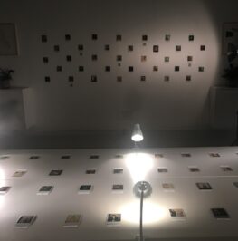 Polaroid exhibtion Dennis Kastrup